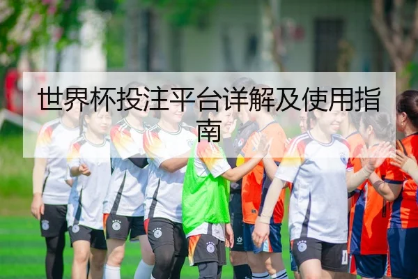 世界杯投注平台详解及使用指南