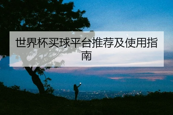 世界杯买球平台推荐及使用指南