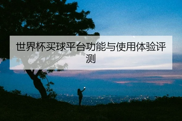 世界杯买球平台功能与使用体验评测