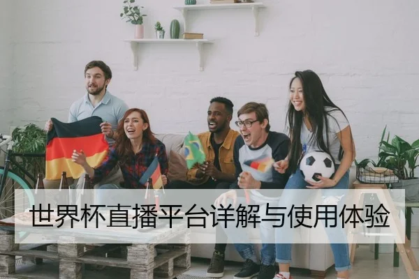 世界杯直播平台详解与使用体验