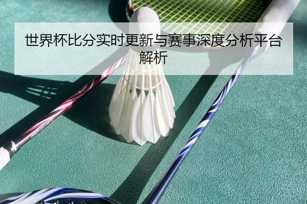 世界杯比分实时更新与赛事深度分析平台解析