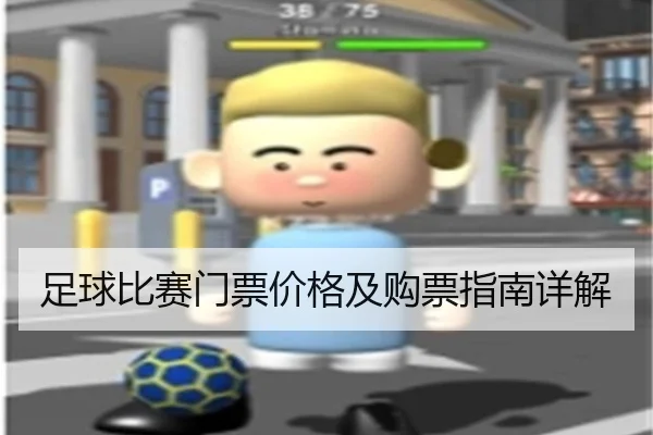 足球比赛门票价格及购票指南详解