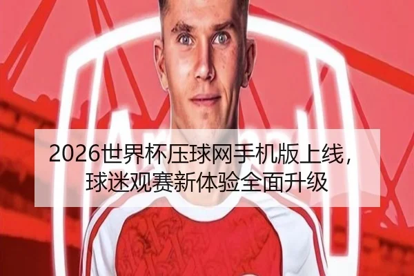 2026世界杯压球网手机版上线，球迷观赛新体验全面升级